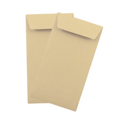 ENVELOPES – (9.5 X 4.5) – 25 IN A Pack