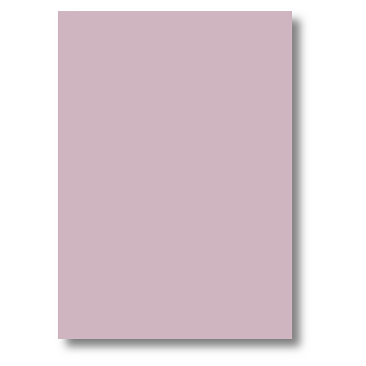 COLOUR A4 80GSM - 10 IN A PACK