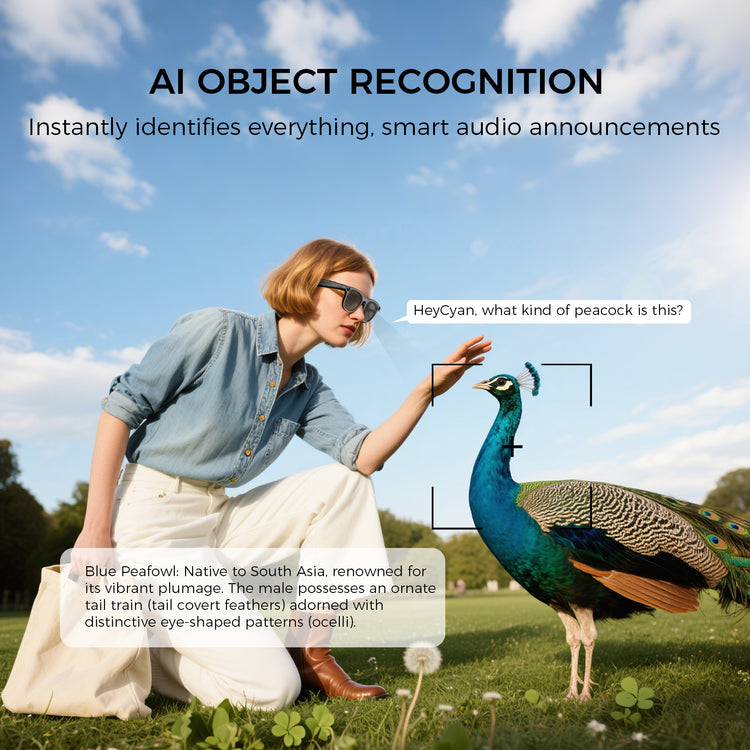 FONTE SMART WEARABLE AI GLASS - G2PRO