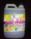 DISH-WASH